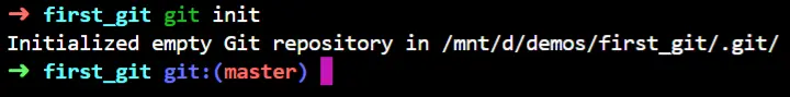 git init