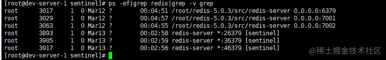 redis-cluster-instance