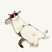 猫木人的个人资料头像