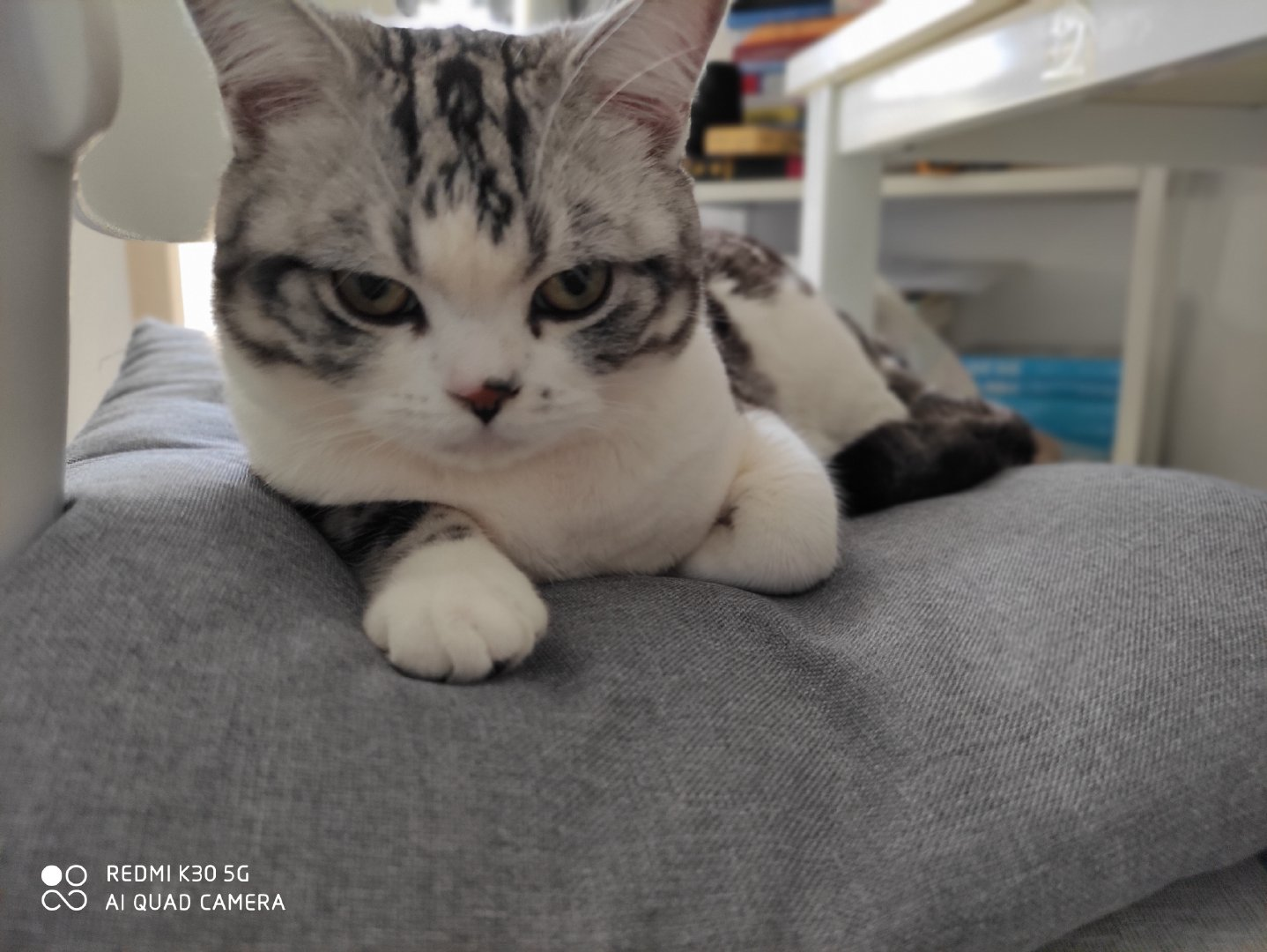 一个坚定的眼神