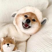 Flipped22的个人资料头像