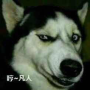 念不悔的个人资料头像