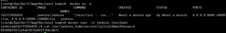 jenkins-3.png