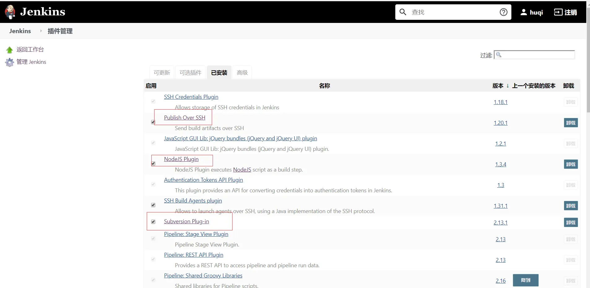 vueDemo-publish-pluginstall.png