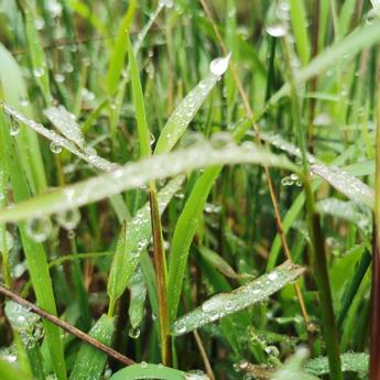 胆小_好色_怕鬼于2020-03-20 10:12发布的图片