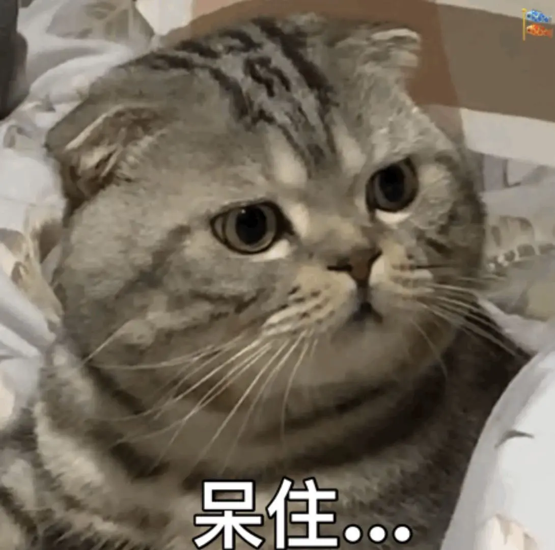 image-20200219221006134