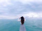 PolarD的个人资料头像