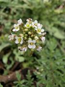 无名小册的个人资料头像