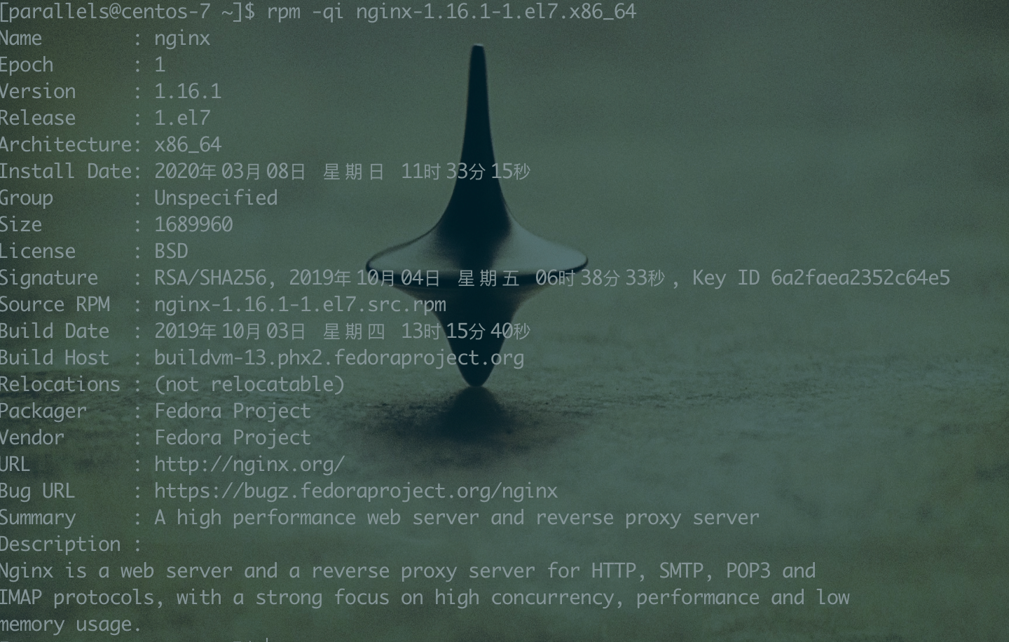 image-20200320232543119