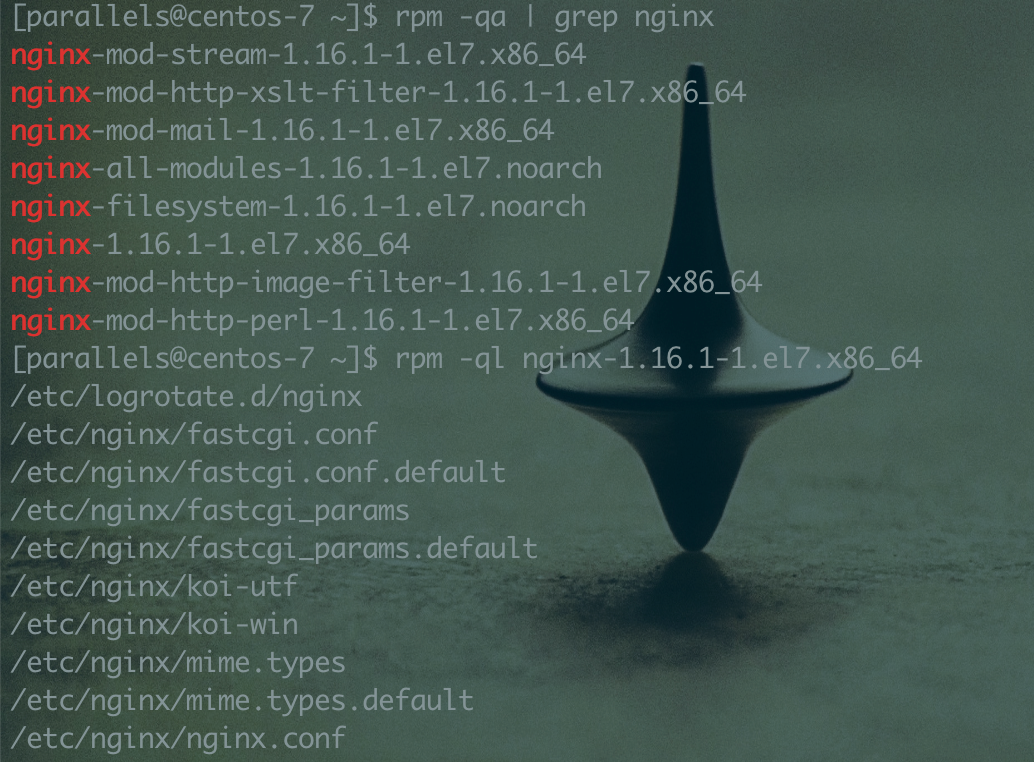 image-20200320232309137