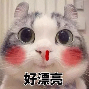 xxrsdax的个人资料头像