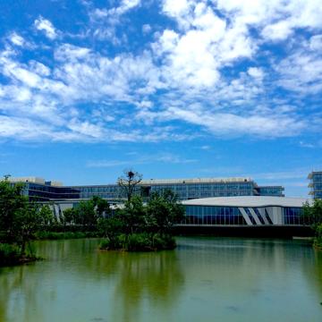 卓风于2020-03-21 22:51发布的图片