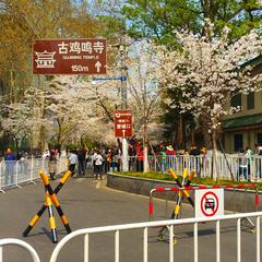 爱吃荆芥于2020-03-22 10:14发布的图片
