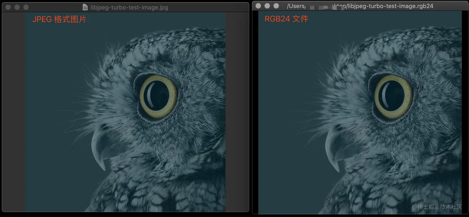 jpeg-to-rgb24-example