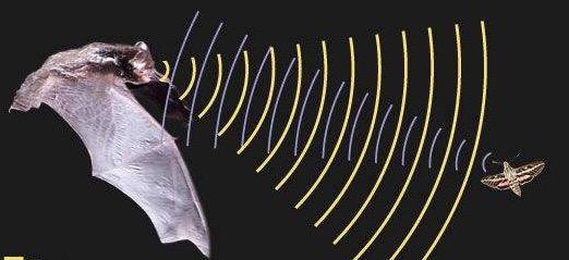 敏捷项目管理-MVP