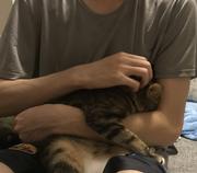 Janp的个人资料头像