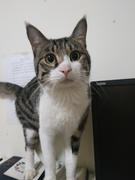 weisy的个人资料头像