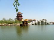 撒贝宁粉丝的个人资料头像