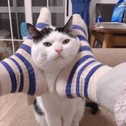 豆哥的个人资料头像