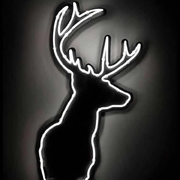 森口一样的ADIL的个人资料头像