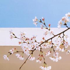 xxxL于2020-03-25 09:22发布的图片