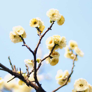 我是一只雕的个人资料头像