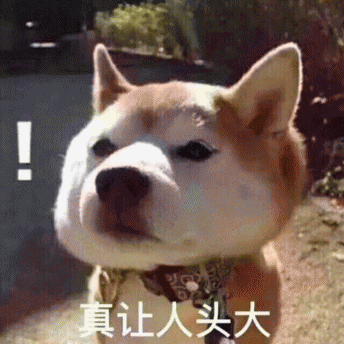jt19880807于2020-03-26 09:42发布的图片