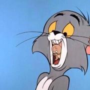 开坦克的舒克的个人资料头像