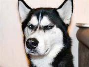 kendyzeng的个人资料头像