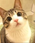 小鱼向前游的个人资料头像