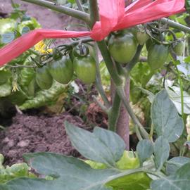 按时吃药于2020-03-26 22:05发布的图片