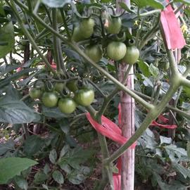 按时吃药于2020-03-26 22:05发布的图片