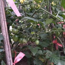 按时吃药于2020-03-26 22:05发布的图片