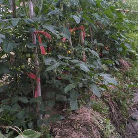 按时吃药于2020-03-26 22:05发布的图片