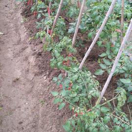 按时吃药于2020-03-26 22:05发布的图片