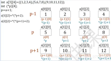 猴博士二维数组示意图