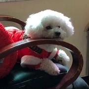 MrSame的个人资料头像