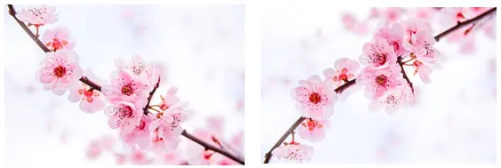 image-20200323162157922