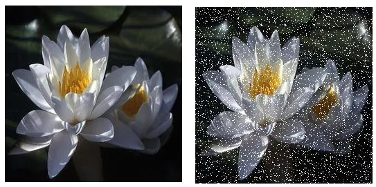 image-20200323162309627