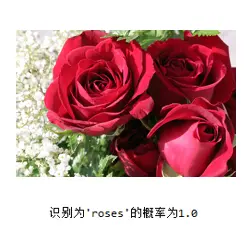 image-20200323231914637