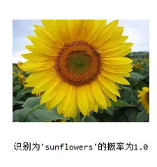 image-20200323231935143