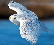 better0605的个人资料头像