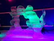 爱书不爱输的程序猿的个人资料头像