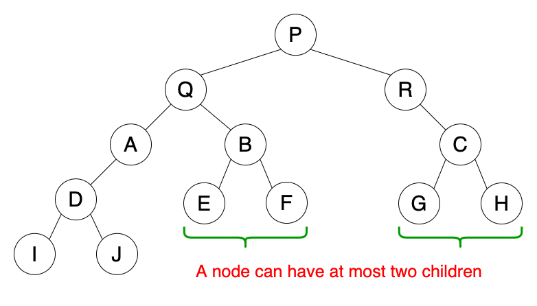 Fig 3. 二叉树