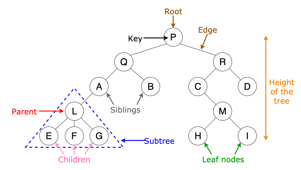 Fig 1. 树的相关术语
