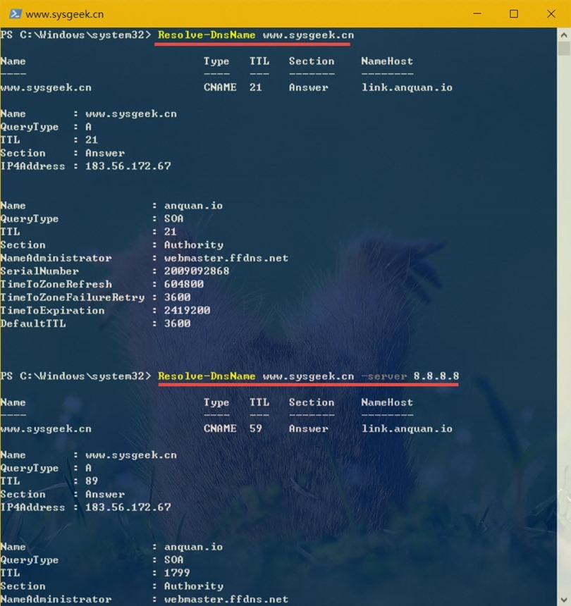 Resolve-DnsName Resolve-DnsName