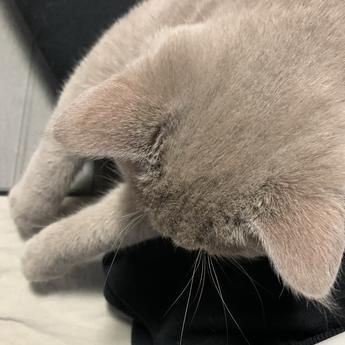 vonhng于2020-03-28 23:26发布的图片