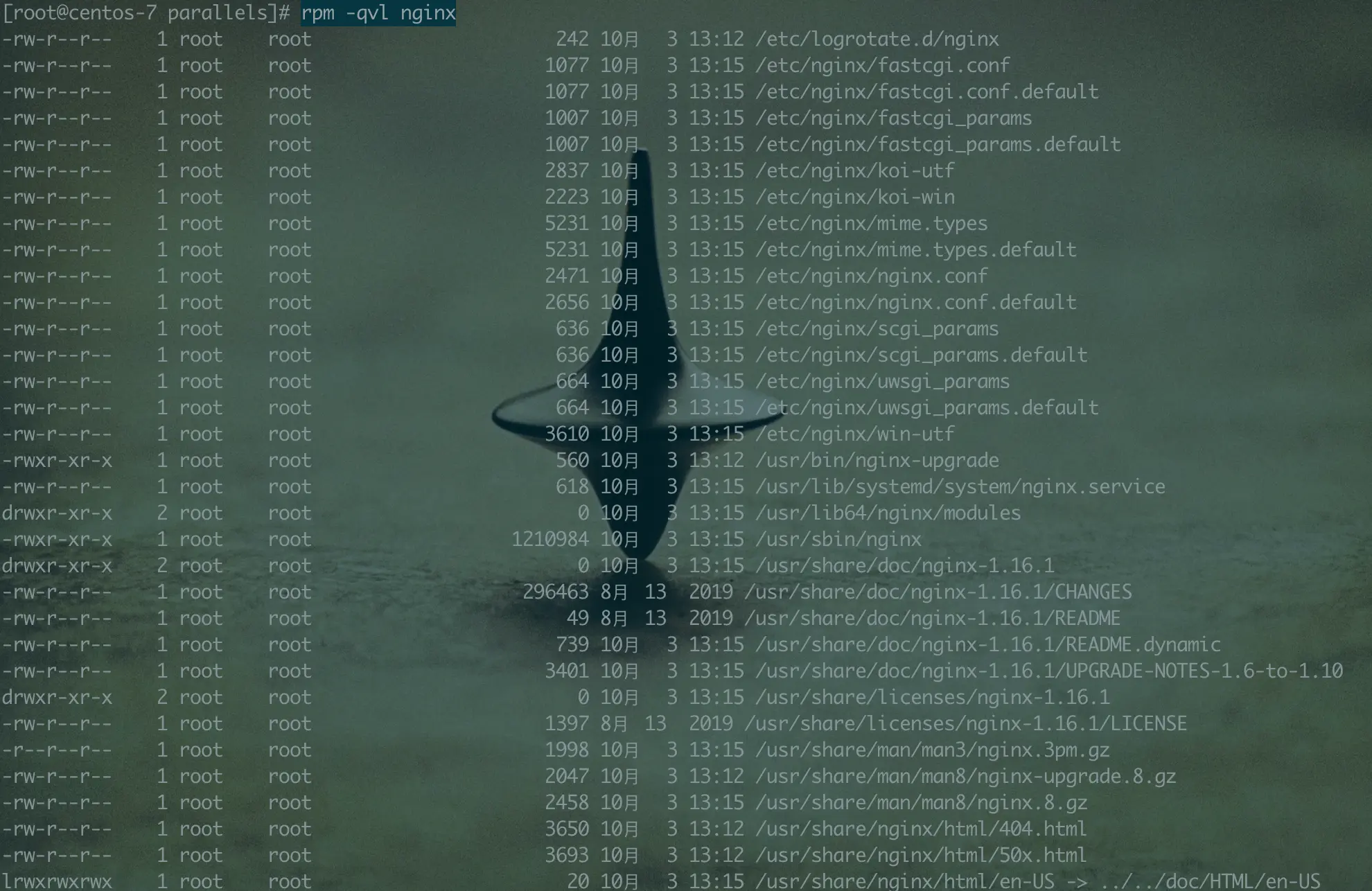 image-20200327221058643
