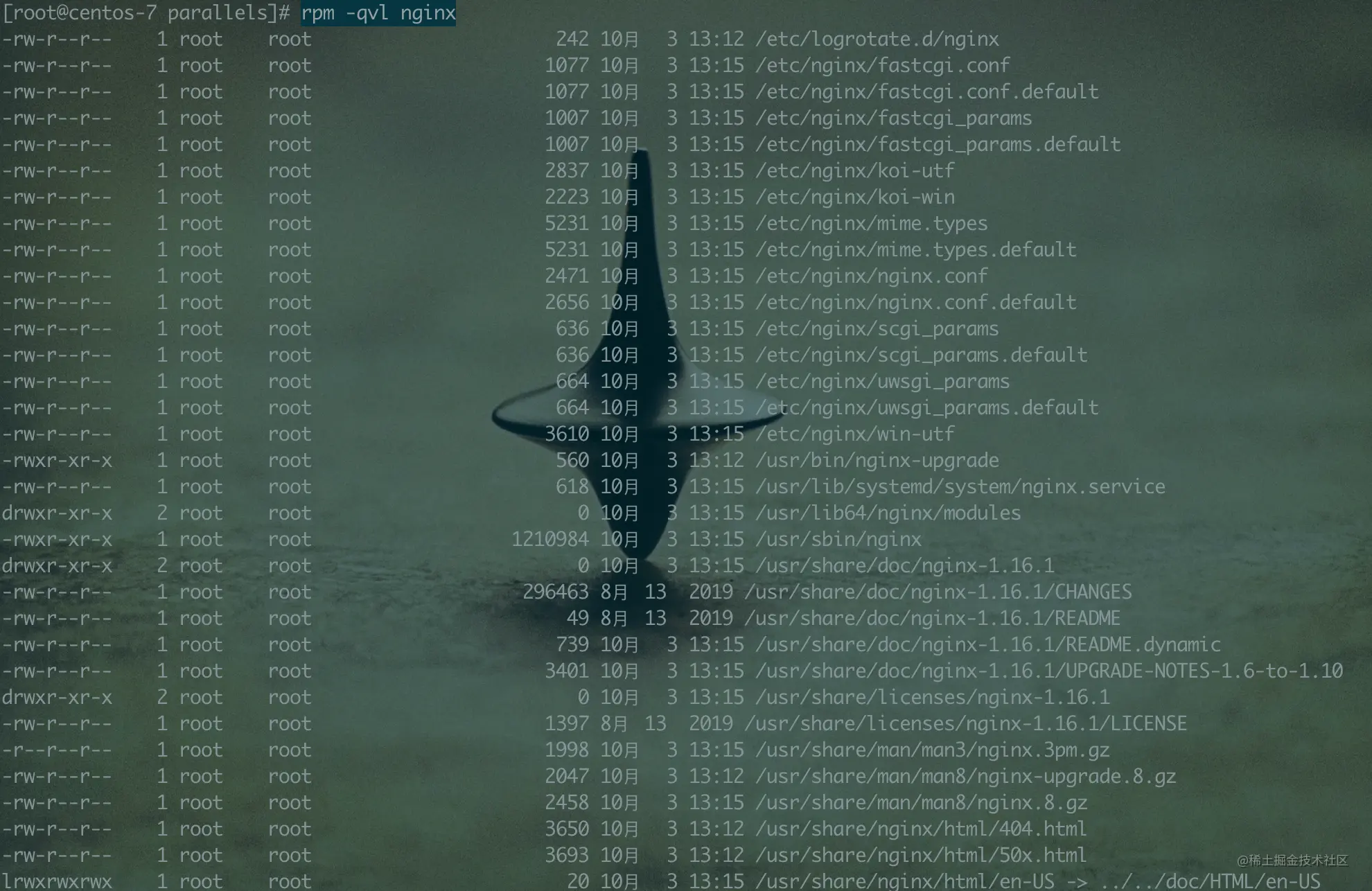 image-20200327221058643