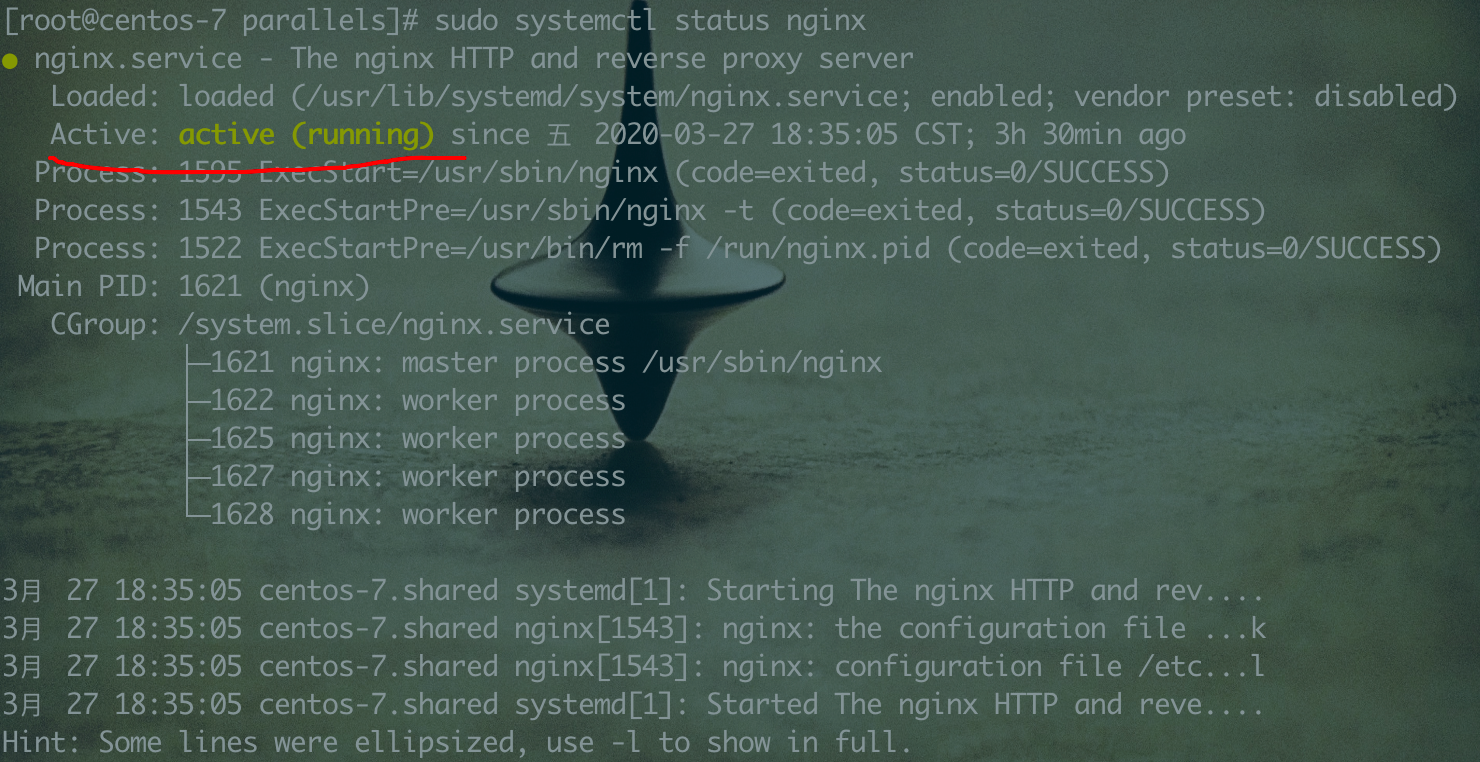 image-20200327220547818